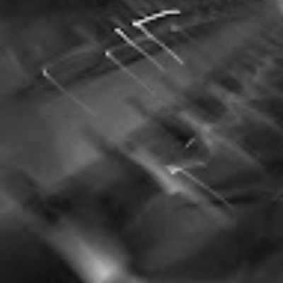 104124244084490533008