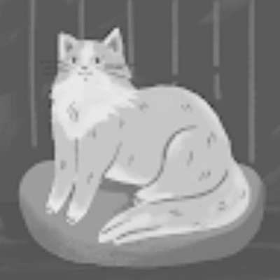 107165956527540520034