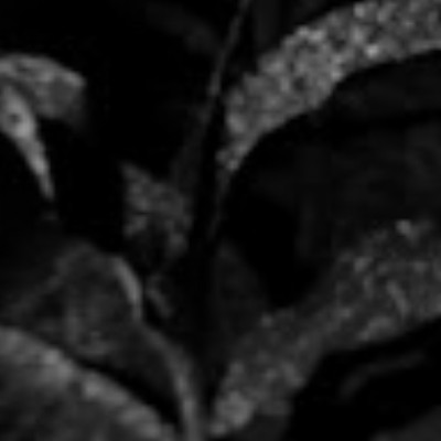 111696595760157621574