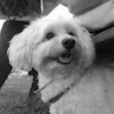 113870094231328180903